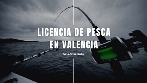 Licencia De Pesca En Valencia Sacar Solicitar【guía 2024】