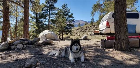 Twin Lakes Colorado : camping