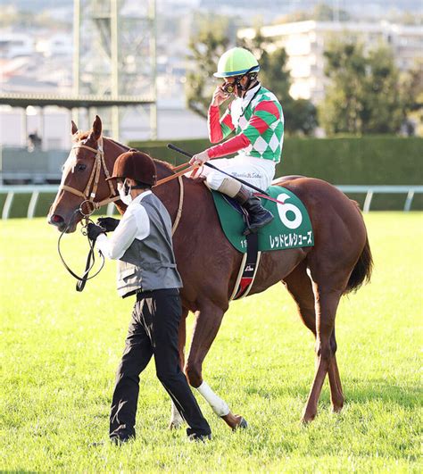 【ファンタジーs】1戦1勝で臨んだレッドヒルシューズは3着 酒井学騎手「直線は差し返しそうな雰囲気」 ライブドアニュース