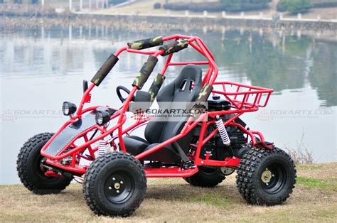 Street Legal Cc Cc Cc Go Off Road Go Kart Buggy China Go