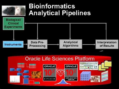 Bioinformatics Analytical Pipelines Biological Clinical Experiments