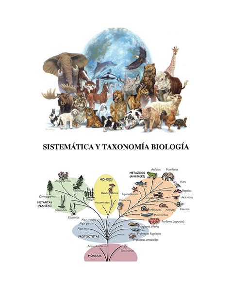 Sistem Tica Y Taxonom A Biolog A Sistem Tica Y Taxonom A Biolog A