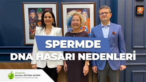 Spermde Dna Hasari Nedenler Youtube