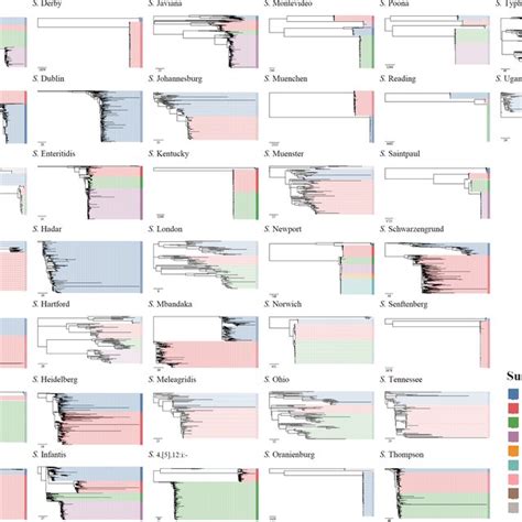 Approximate Maximum Likelihood Phylogenetic Trees Were Reconstructed