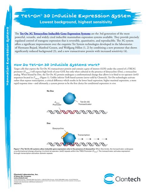 Tet On® 3g Inducible Expression System