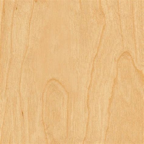 Birch Playwood PBR Texture Seamless 21837