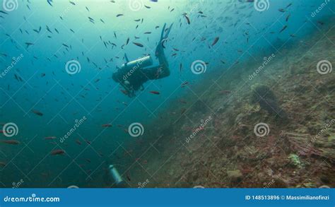 Fotograf A Subacu Tica Del Arrecife De Coral En Raja Ampat Indonesia