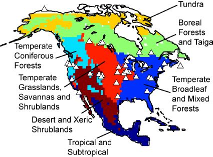 South American Biomes Map