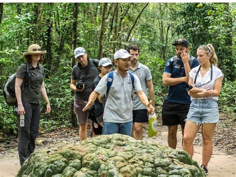 Explore Cu Chi Tunnels Half Day Tour Musement