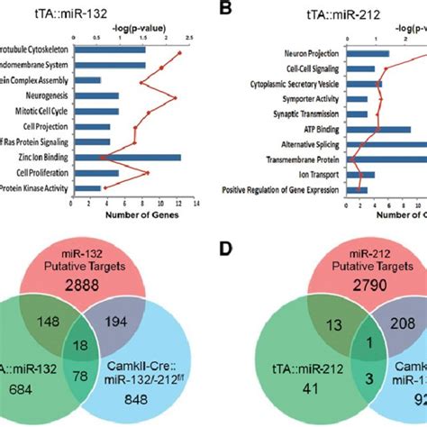 Enriched Ontological Clusters Of Altered Mrna In Mir And Mir