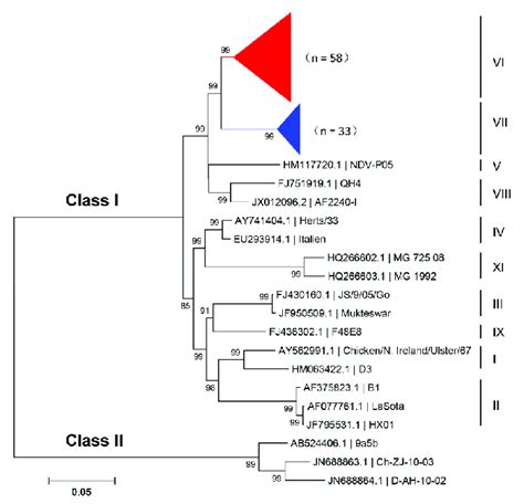 The Phylogenetic Tree Based On The Nucleotide Sequences Of The Fusion