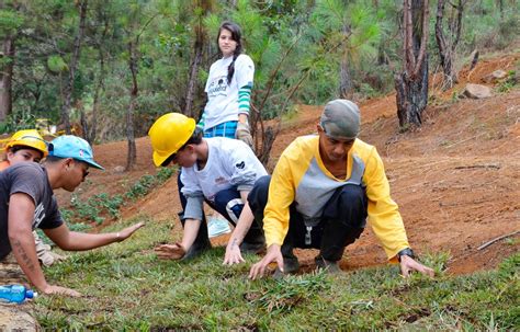 Medellín Fue La Más Sostenible Por Acciones Para La Protección Ambiental