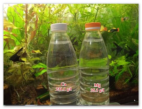 Эхинодорус , Аквариумные растения, Удобрения: 50 грн. - Аквариумистика ...