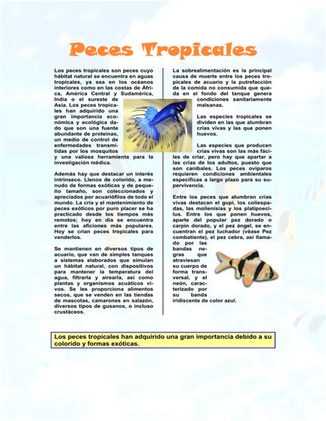 Peces Tropicales