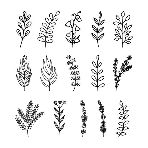 Hand Drawn Herbal Floral Clipart Collection One Line Doodle Vector