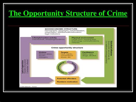 Ppt Chapter Three Victims And Victimization Powerpoint Presentation Free Download Id1348163