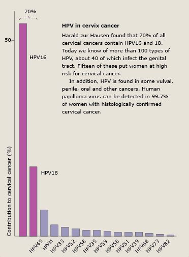 The 2008 Nobel Prize In Physiology Or Medicine Illustrated Presentation