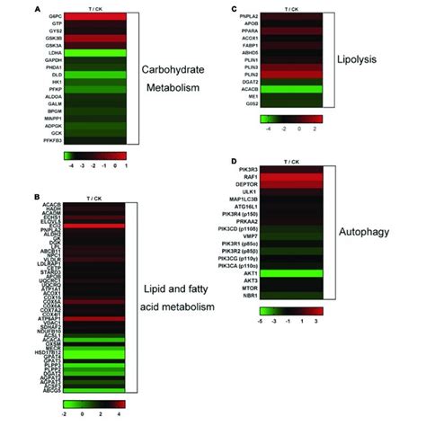 Heat Map Diagrams Of Expression Patterns Of Critical DEGs Among The