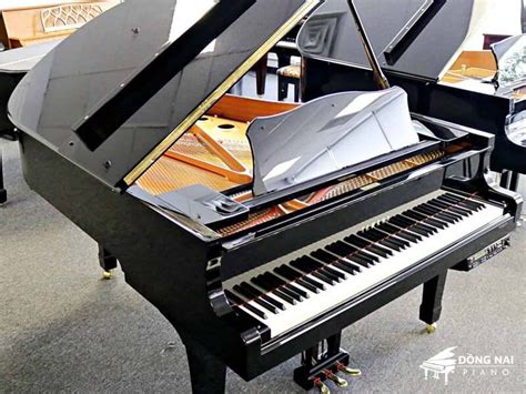 ĐÀn Grand Piano Yamaha C3 NhẬp KhẨu NhẬt BẢn