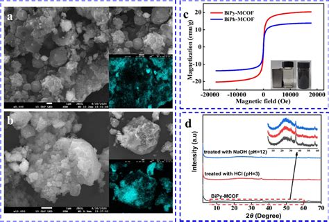 SEM Images And Fe3O4 Distribution Of A BiPy MCOF And B BiPh MCOF