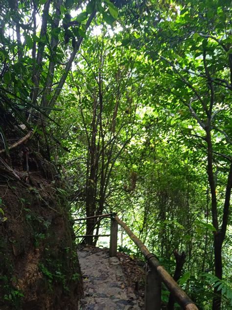 Curug Walet Air Terjun Pamijahan Yang Tenang Dan Indah