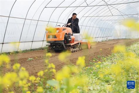 初春时节 各地农民抢抓农时 组图 图片中国中国网