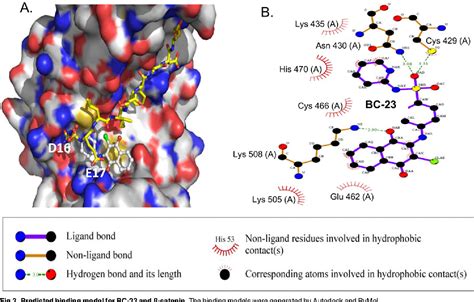 Figure 1 From Enhancement Of Radiation Sensitivity In Lung Cancer Cells By A Novel Small