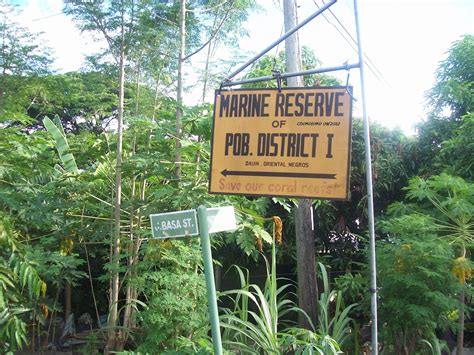 cHoKoLoKo world: Dauin Marine Sanctuary