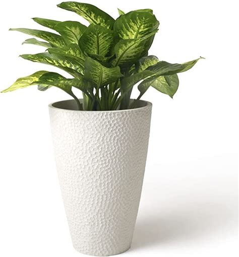 La Jolie Muse Tall White Planter For Indoor Plants Inch Tall Round