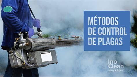 Los 4 métodos más comunes de control de plagas Inoclean