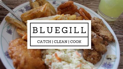 Bluegill Catch Clean Cook Youtube