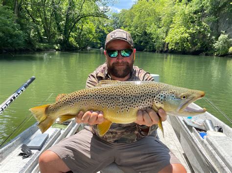 Watauga River Guides Watauga River Guides