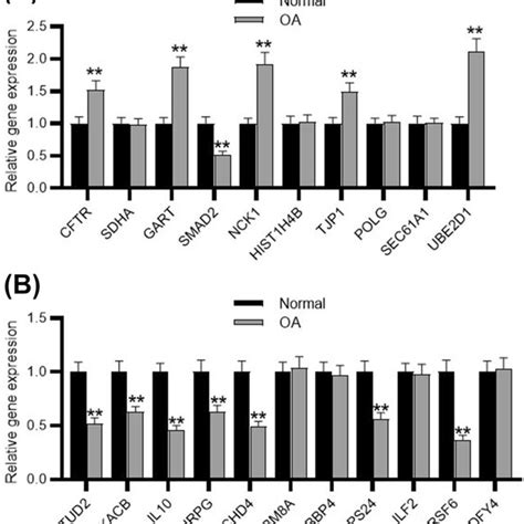 Verification Of Hub Gene Expression By Rt Qpcr A B Expression Levels