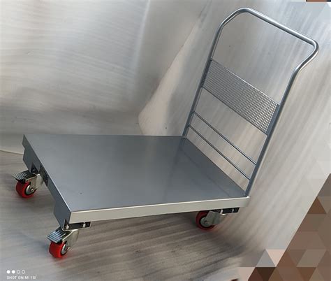 Stainless Steel Platform Hand Trolley Size Dimension 4x4x2 Feet Hxlxw