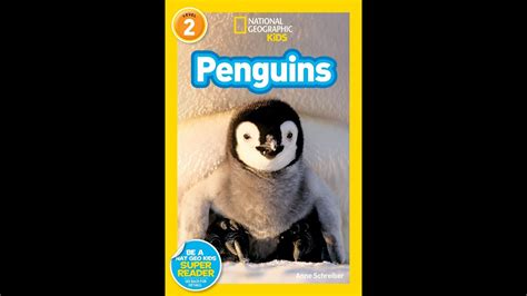 National Geographic Penguins Book