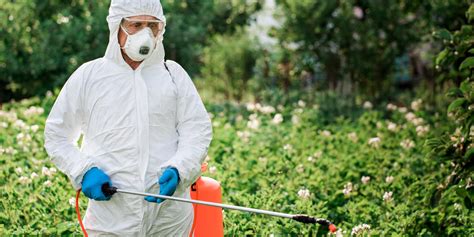 Pest Control Georgia Department Of Agriculture