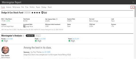 Accessing the Morningstar Report and analyst reports