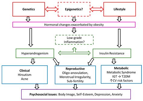 Jcm Free Full Text The Genetics Of Polycystic Ovary Syndrome An