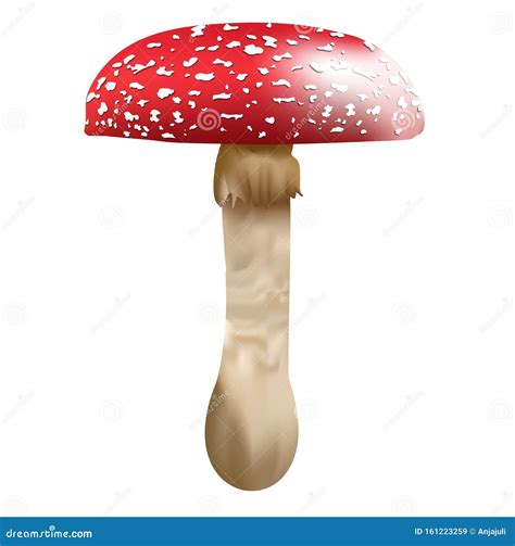 Red Mushroom With White Spots Fly Agaric Fly Amanita Amanita Muscaria Illustration Stock