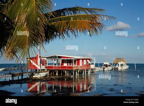 Caye Caulker Belize Snorkelling Hi Res Stock Photography And Images Alamy