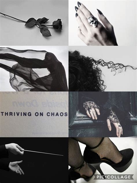 Bellatrix Lestrange Née Black Aesthetic Bellatrix Lestrange Aesthetic Bellatrix Lestrange