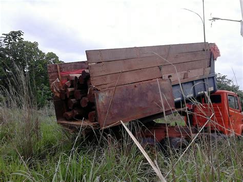 Caminh O Carregado De Madeira Ilegal Apreendido Na To Tocantins