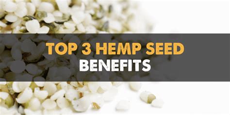 Hemp Seed Benefits: The Ultimate Guide