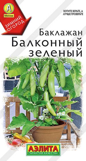 Баклажан Балконный зеленый купить баклажан оптом и в розницу от ...
