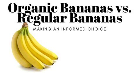 Organic Bananas Vs Regular Bananas Making An Informed Choice Kokomo Glow