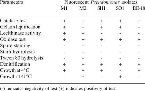 Physiological And Biochemical Characterization Of Fluorescent