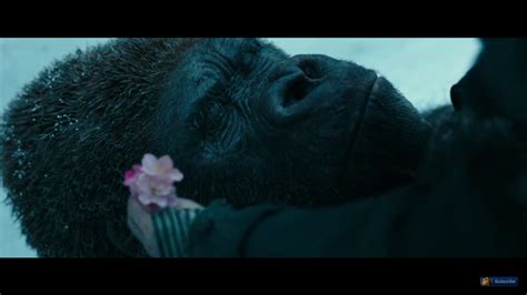 【映画】『猿の惑星：聖戦記』────英雄シーザーの物語、遂に閉幕。 あおえいろ録。