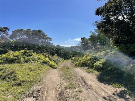 Best 10 Trails and Hikes in Molokai | AllTrails