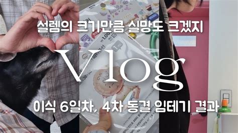 Vlog 김칫국 브이로그 4차 동결이식 결과 감자배아 이식 6일차 임테기 결과 기대와 설렘 가득했던 순간 난임브이로그