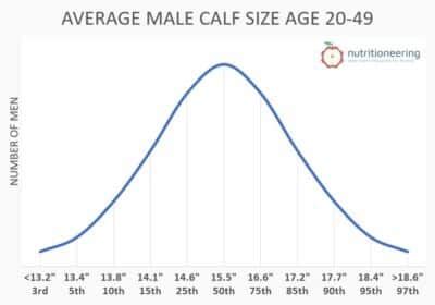 Average Calf Size For Men Women How Big Is Healthy